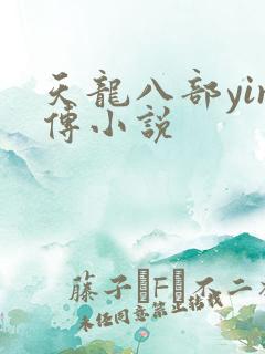 天龙八部yin传小说