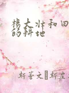 杨大壮和田桂花的耕地