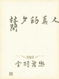 林夕的真人娃娃间