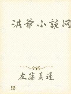 洪爷小说网