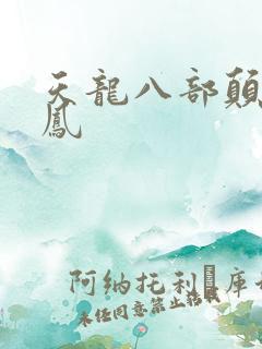 天龙八部颠龙鸾凤