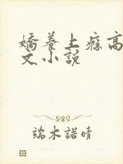 娇养上瘾高H爽文小说