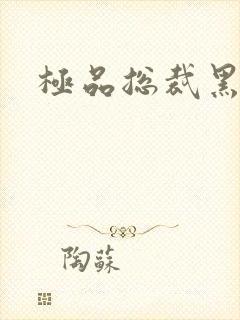 极品总裁黑道妻