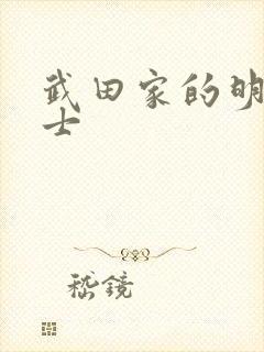 武田家的明国武士