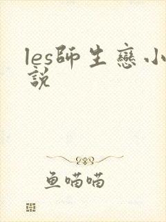 les师生恋小说