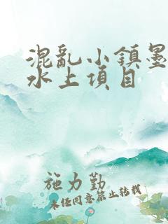 混乱小镇墨池砚水上项目