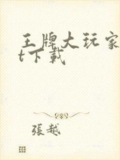 王牌大玩家txt下载