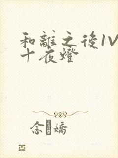 和离之后1V1十夜灯
