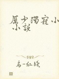 厉少独宠小娇妻 小说