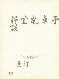 舒宜岚卓予淮小说