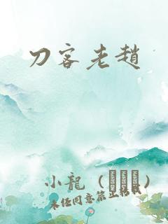 刀客老赵