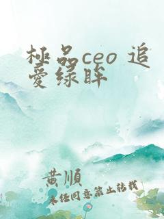 极品ceo 追爱绿眸