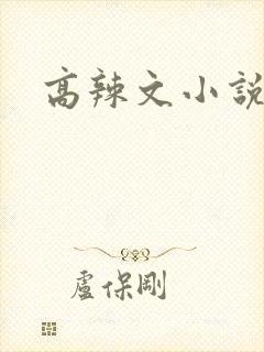 高辣文小说