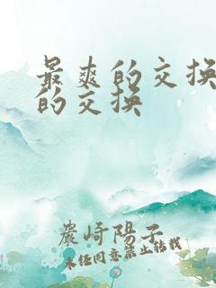 最爽的交换疯狂的交换