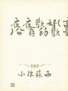 夜夜欢好(高h)公翁的欢爱