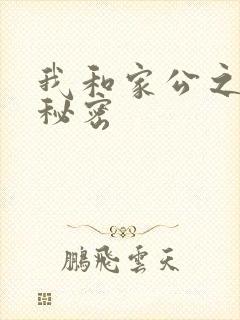 我和家公之间的秘密