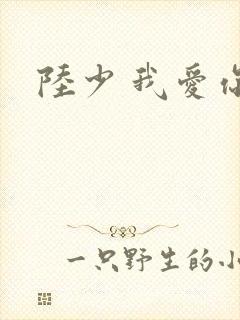陆少 我爱你