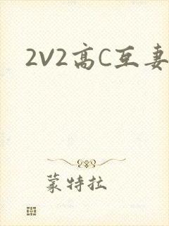 2V2高C互妻