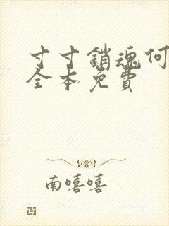 寸寸销魂何生祥全本免费