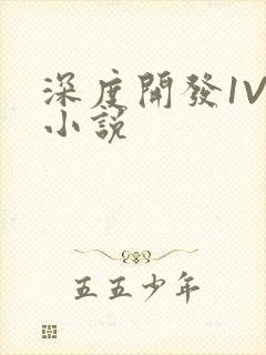 深度开发1V3小说