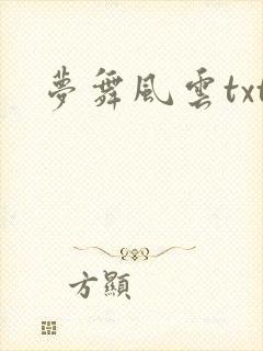 梦舞风云txt