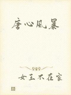 唐心风暴