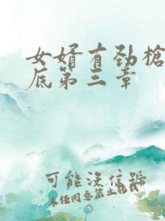 女婿有劲枪枪到底第三章