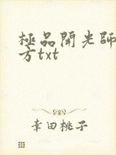 极品开光师李南方txt