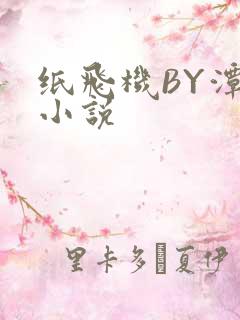 纸飞机BY潭石小说