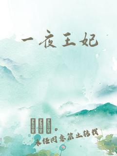 一夜王妃