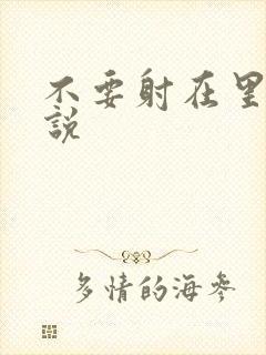 不要射在里面小说