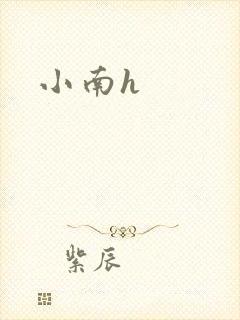 小南h