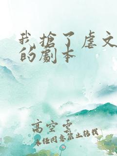 我抢了虐文男主的剧本