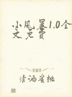 小风暴1.0全文免费