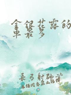 金银花露的哪个车最多