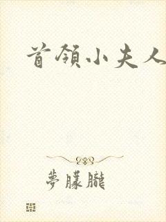 首领小夫人