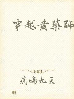 穿越黄药师之子