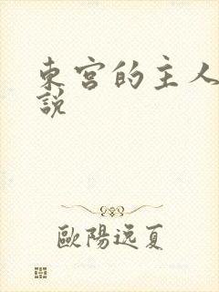 东宫的主人 小说