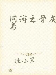 网游之骨灰级菜鸟