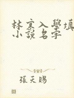 林寒入学填未婚小说名字