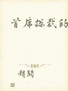 首席总裁的逃妻