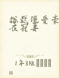 总裁猎爱豪门一夜宠妻