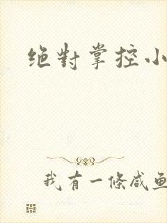 绝对掌控小说