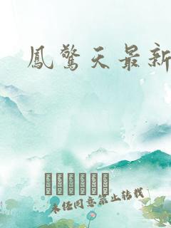 凤惊天最新章节