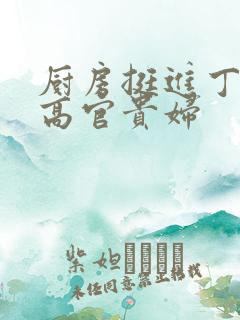 厨房挺进丁字裤高官贵妇