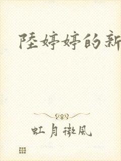陆婷婷的新故事