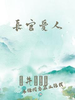 长官爱人
