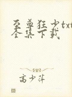 至尊狂少txt全集下载