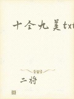 十全九美txt