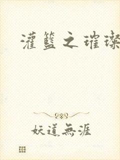 灌篮之璀璨生涯